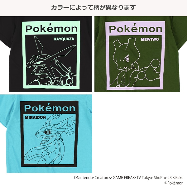 単色半袖Tシャツ（ポケモン）