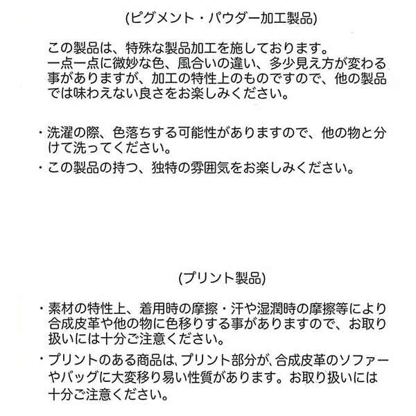 ロゴピグメント風半袖Tシャツ