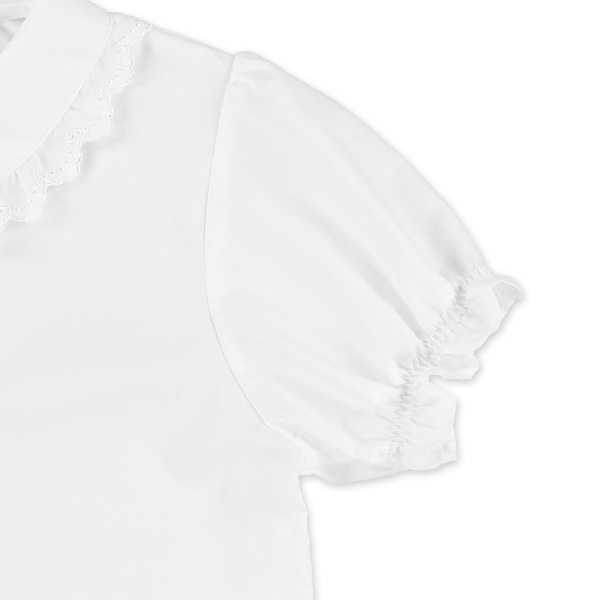 襟レース半袖ブラウス