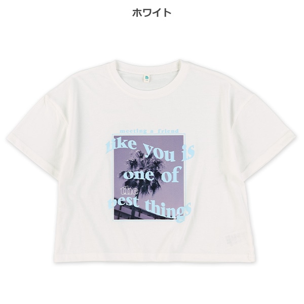 クロップド丈風景転写プリントワイド半袖Tシャツ