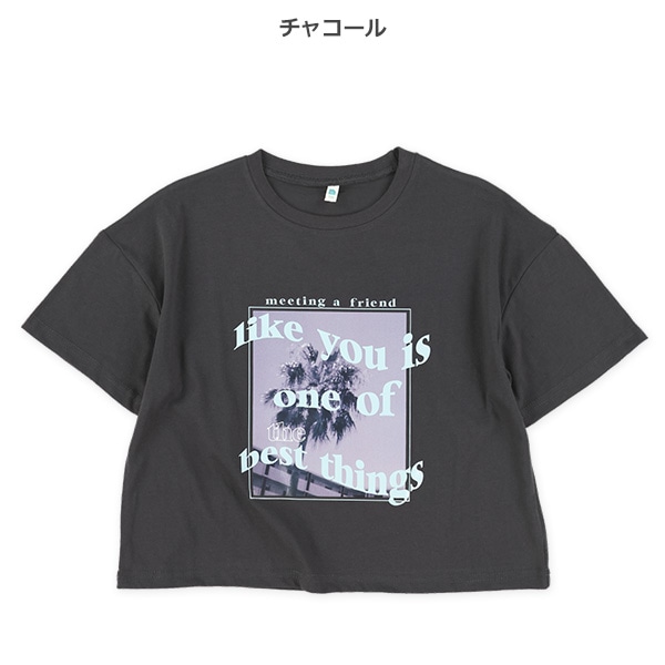 クロップド丈風景転写プリントワイド半袖Tシャツ