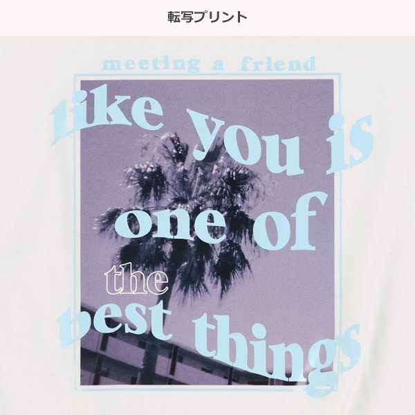 クロップド丈風景転写プリントワイド半袖Tシャツ