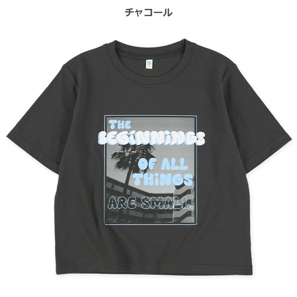 風景転写クロップド丈半袖Tシャツ