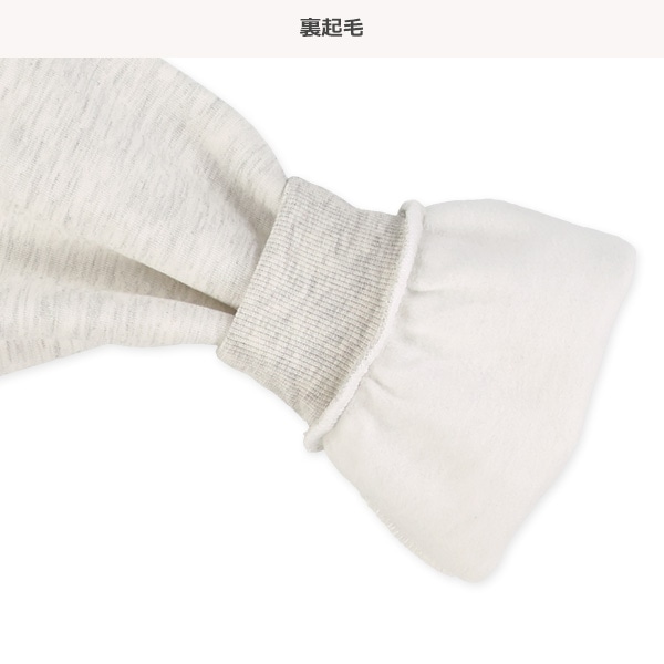 裏起毛ロゴハーフジップトレーナー