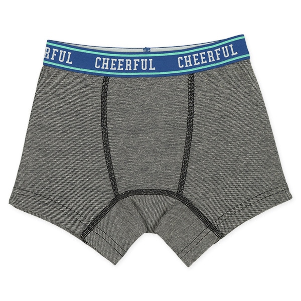 4枚組前とじボクサーブリーフ（星・ロゴ・ボーダー）