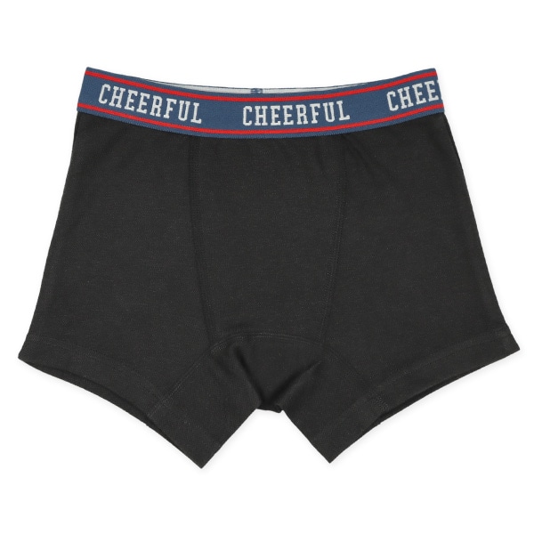 4枚組前とじボクサーブリーフ（星・ロゴ・ボーダー）