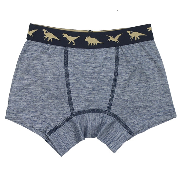 4枚組前とじボクサーブリーフ（恐竜シルエット）
