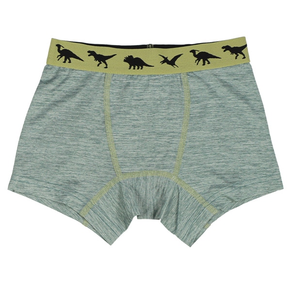 4枚組前とじボクサーブリーフ（恐竜シルエット）