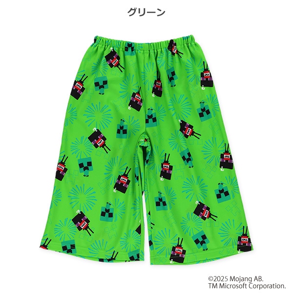 エステルメッシュステテコ（マインクラフト）