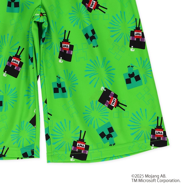 エステルメッシュステテコ（マインクラフト）