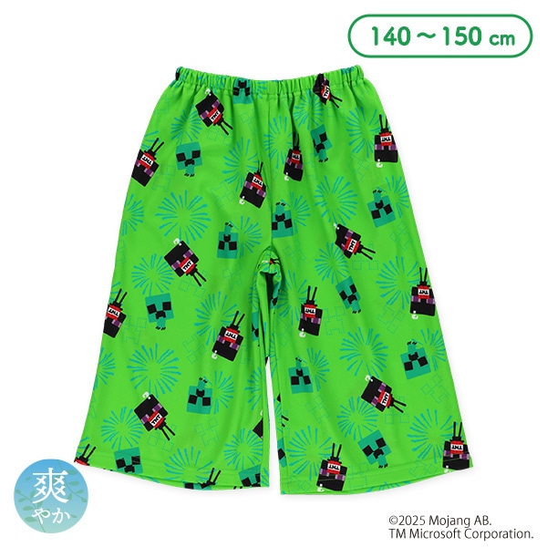 エステルメッシュステテコ（マインクラフト）