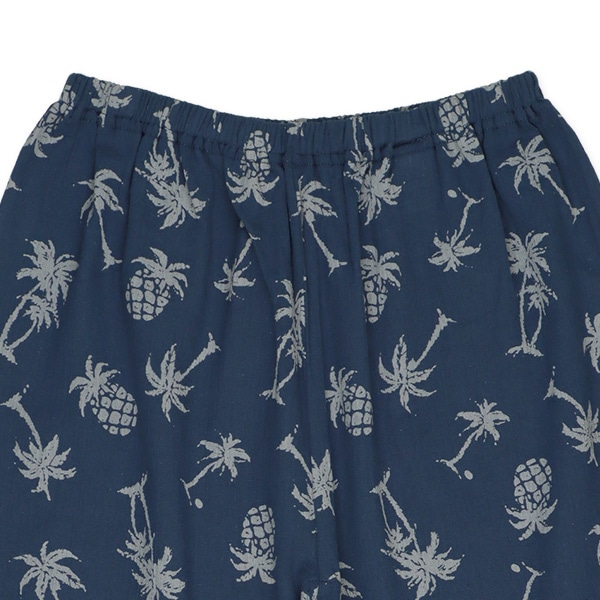 ステテコ（ヤシの木）