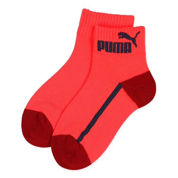 PUMA）3足組スクールローカットソックス（サイドライン）