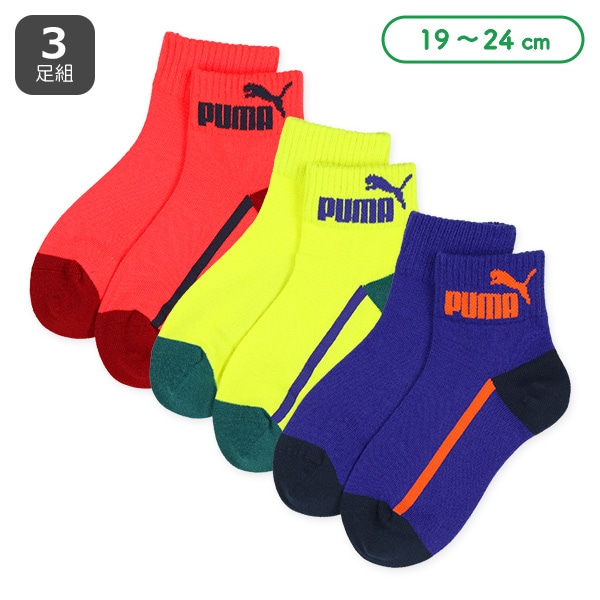 PUMA）3足組スクールローカットソックス（サイドライン）