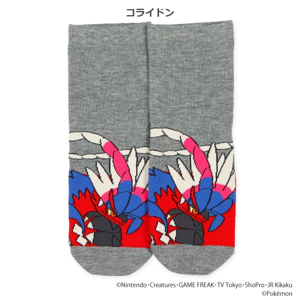 スクールクルーソックス（コライドン・ミライドン）