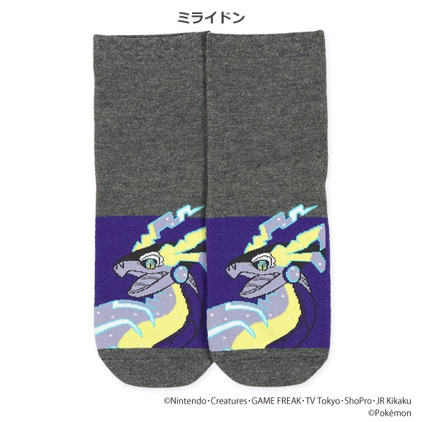 スクールクルーソックス（コライドン・ミライドン）