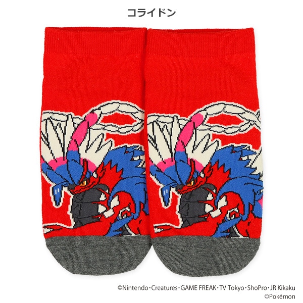 スクールローカットソックス（黒いレックウザ・コライドン・ミライドン）