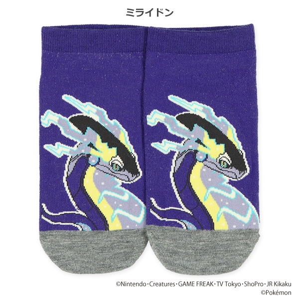 スクールローカットソックス（黒いレックウザ・コライドン・ミライドン）