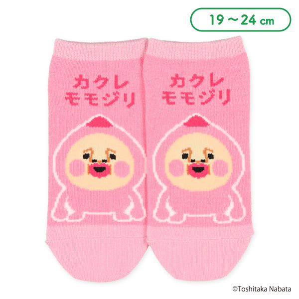 スクールローカットソックス（こびとづかん・カクレモモジリ）