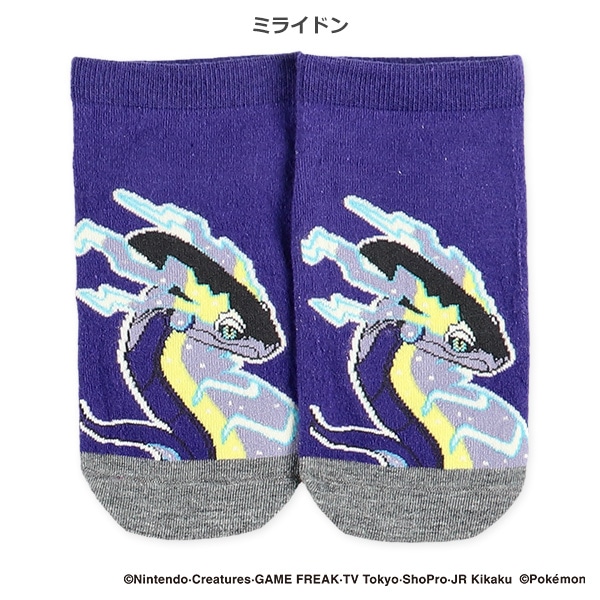 スクールローカットソックス（黒いレックウザ・コライドン・ミライドン・黄色いメガルカリオ）