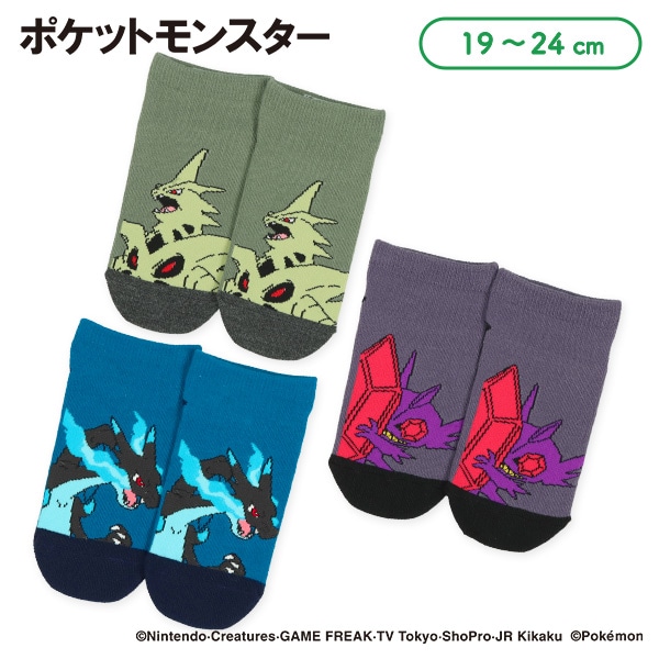 スクールローカットソックス（メガバンギラス・メガリザードンX・メガヤミラミ）