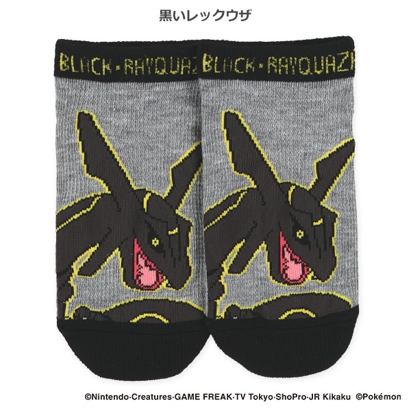 スクールローカットソックス（ラウドボーン・黒いレックウザ・キャプテンピカチュウ・メガリザードンX）