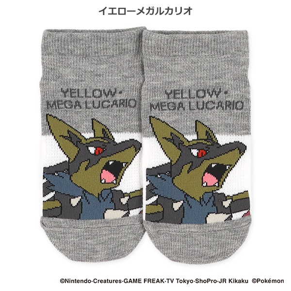 スクールローカットソックス（イエローメガルカリオ・マスカーニャ・テラパゴス・リザードン）