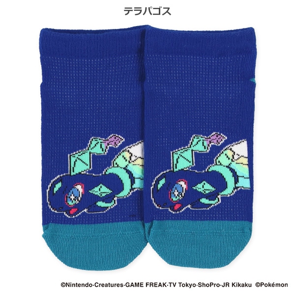 スクールローカットソックス（イエローメガルカリオ・マスカーニャ・テラパゴス・リザードン）