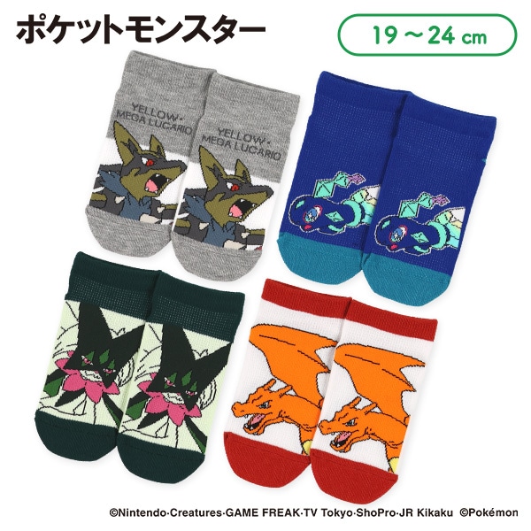 スクールローカットソックス（イエローメガルカリオ・マスカーニャ・テラパゴス・リザードン）