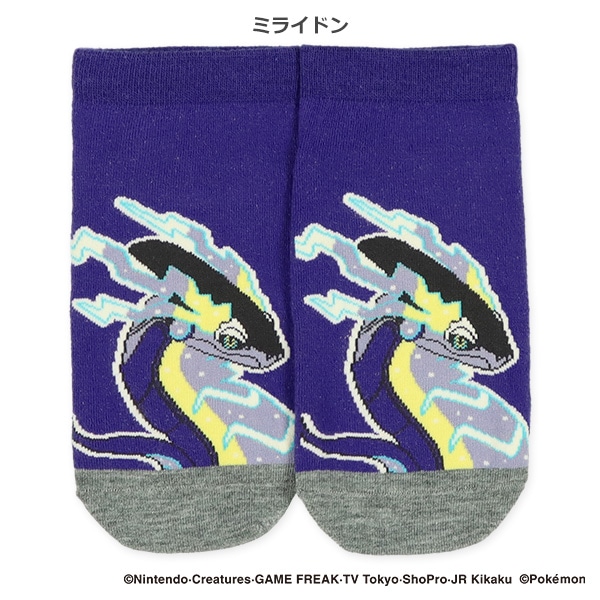 スクールローカットソックス（黒いレックウザ・コライドン・黄色いメガルカリオ・ミライドン）