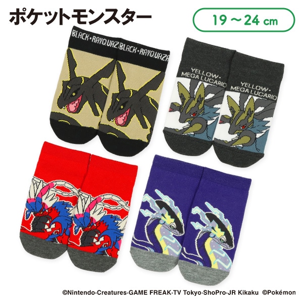 スクールローカットソックス（黒いレックウザ・コライドン・黄色いメガルカリオ・ミライドン）