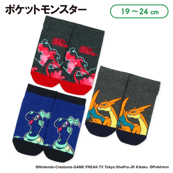スクールローカットソックス（ガラルファイヤー・テラパゴス・リザードン）