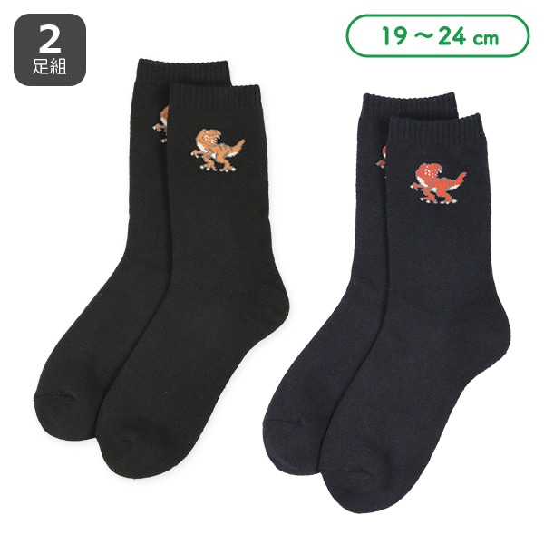 2足組あったかパイルスクールクルーソックス（恐竜）