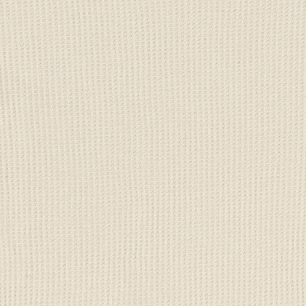 3枚組ワッフル半袖シャツ肌着（ピスネーム・チケット）