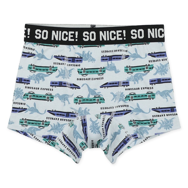 4枚組前とじボクサーブリーフ（恐竜・電車）