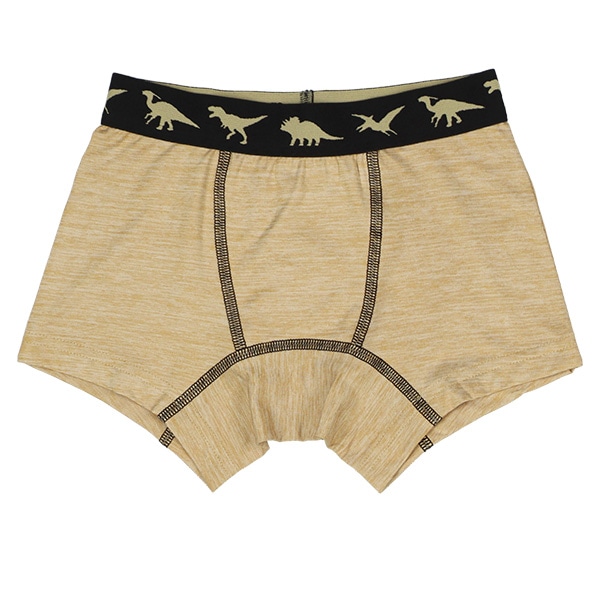 4枚組前とじボクサーブリーフ（恐竜シルエット）