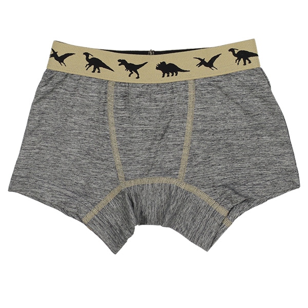 4枚組前とじボクサーブリーフ（恐竜シルエット）