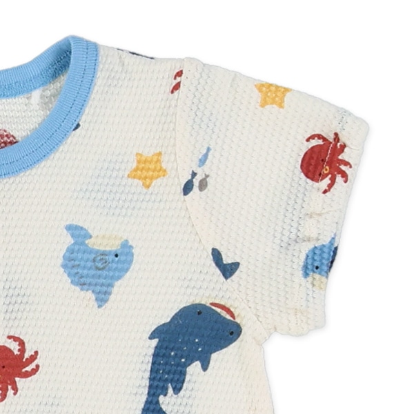 天竺海の生き物半袖コンビドレス