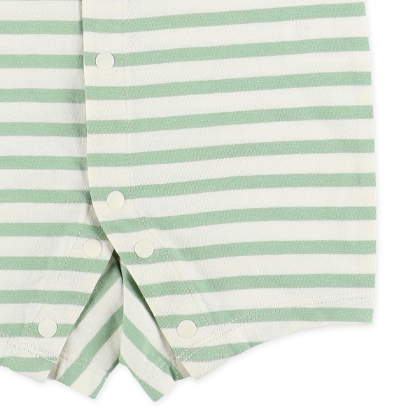 天竺ナチュラルボーダー半袖プレオール