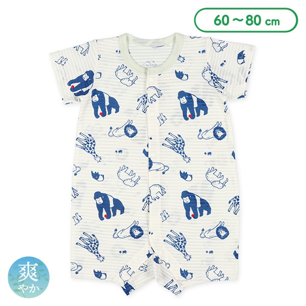 天竺ボーダーアニマル半袖プレオール