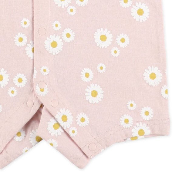 天竺マーガレット半袖プレオール