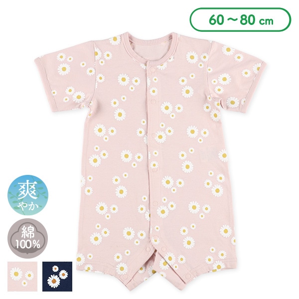 天竺マーガレット半袖プレオール