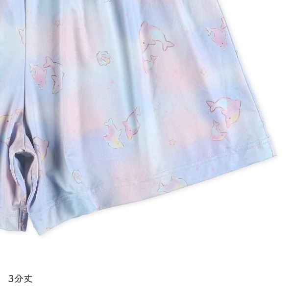 ステテコ（イルカ）