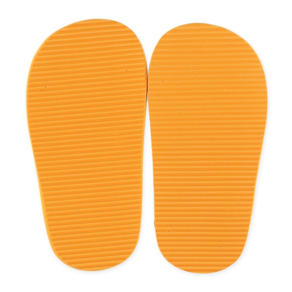 ベビービーチサンダル（ライオン）