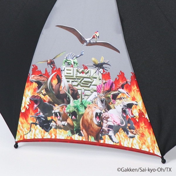ジャンプ傘 50cm（最強王図鑑）