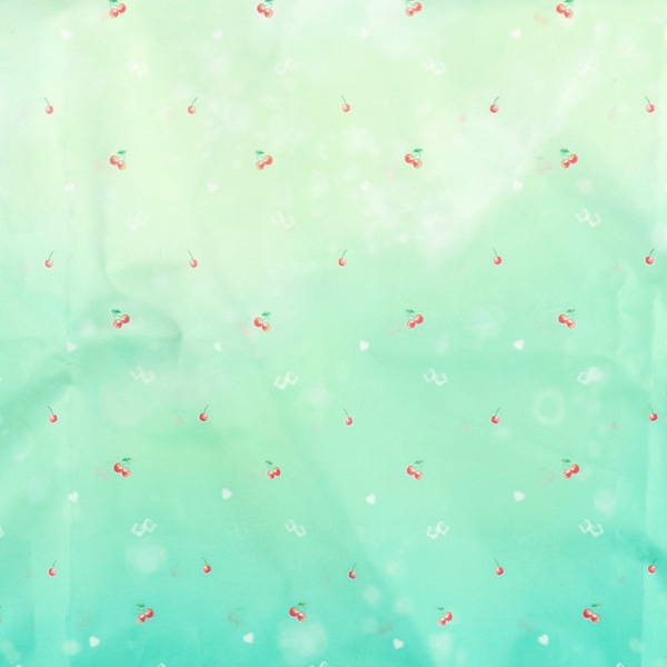 レインポンチョ（メロンソーダ）