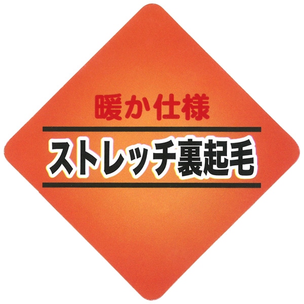 裏起毛ツイルワイドカーゴパンツ