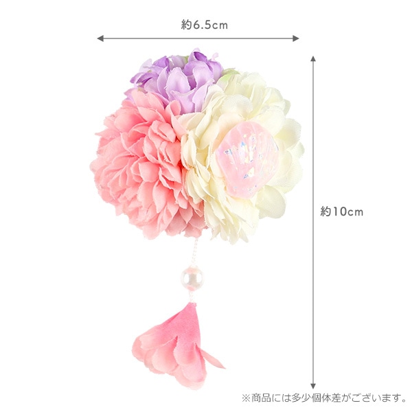 和クリップ（クリアシェル付き）