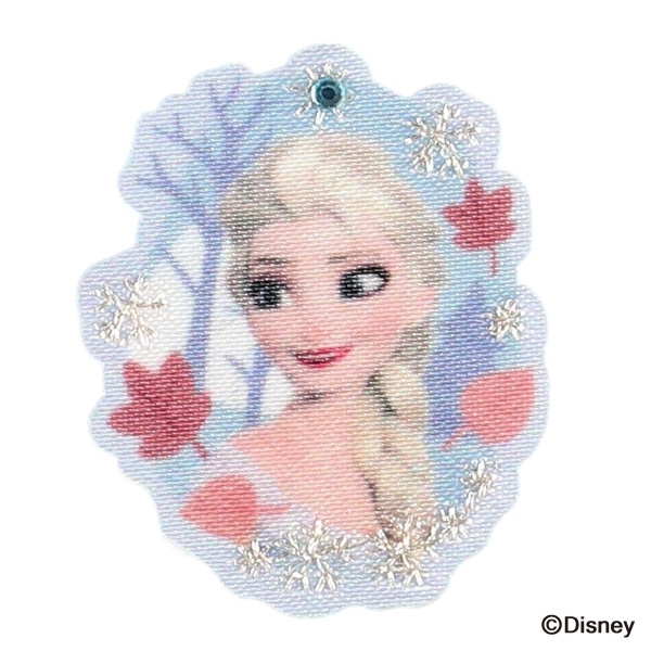 2WAYワッペン小 エルサ&アナなかよしセット（アナと雪の女王）