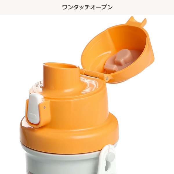抗菌直のみ水筒 600ml（恐竜）